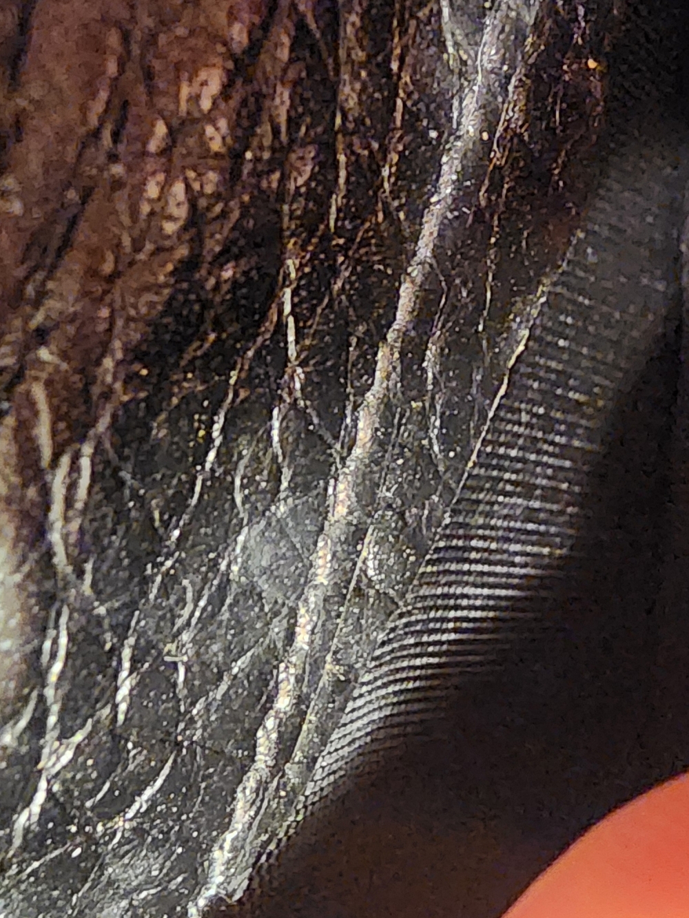 black leather Celine long wallet featuring an embossed Triomphe logo.  - Picture 14 of 16